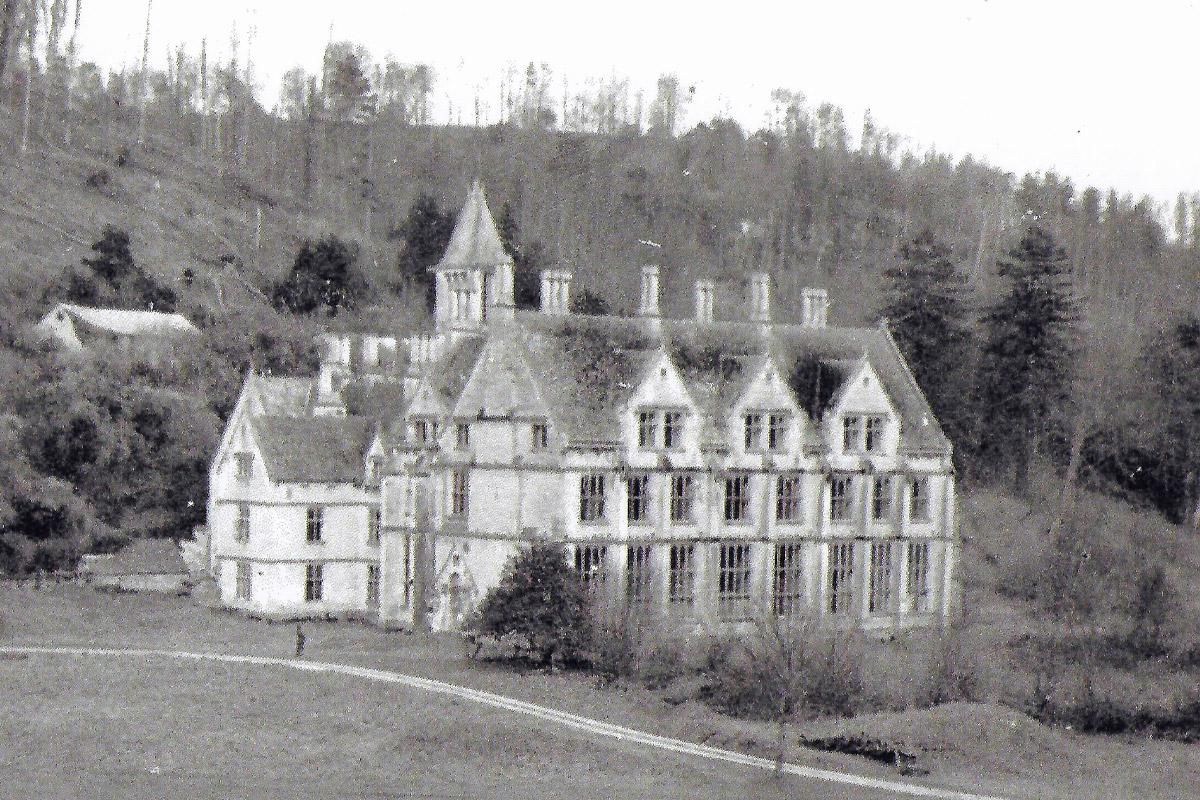<h2>Woodchester Mansion</h2>